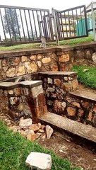 animals, monkeys living in the homes