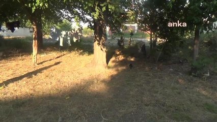 26 Yıldır Türkiye'de Oturan Romanyalı Kadın: "İş İstiyorum, İş Yoksa Gitmek İstiyorum"