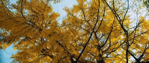 At Eternity's Gate Bande-annonce (UK)