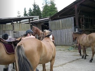 Randonnée 1ère partie