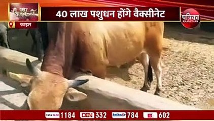 Lumpy Virus- 40 लाख पशुधन को वैक्सीनेट करने का टारगेट° गोट पॉक्स की 25  लाख वैक्सीन और मंगवाई