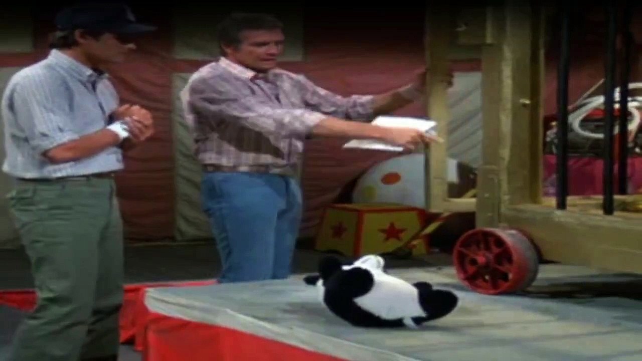 Ein Colt für alle Fälle Staffel 2 Folge 5 HD Deutsch