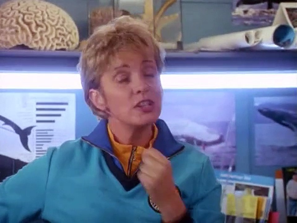 Ocean Girl Staffel 3 Folge 6 HD Deutsch