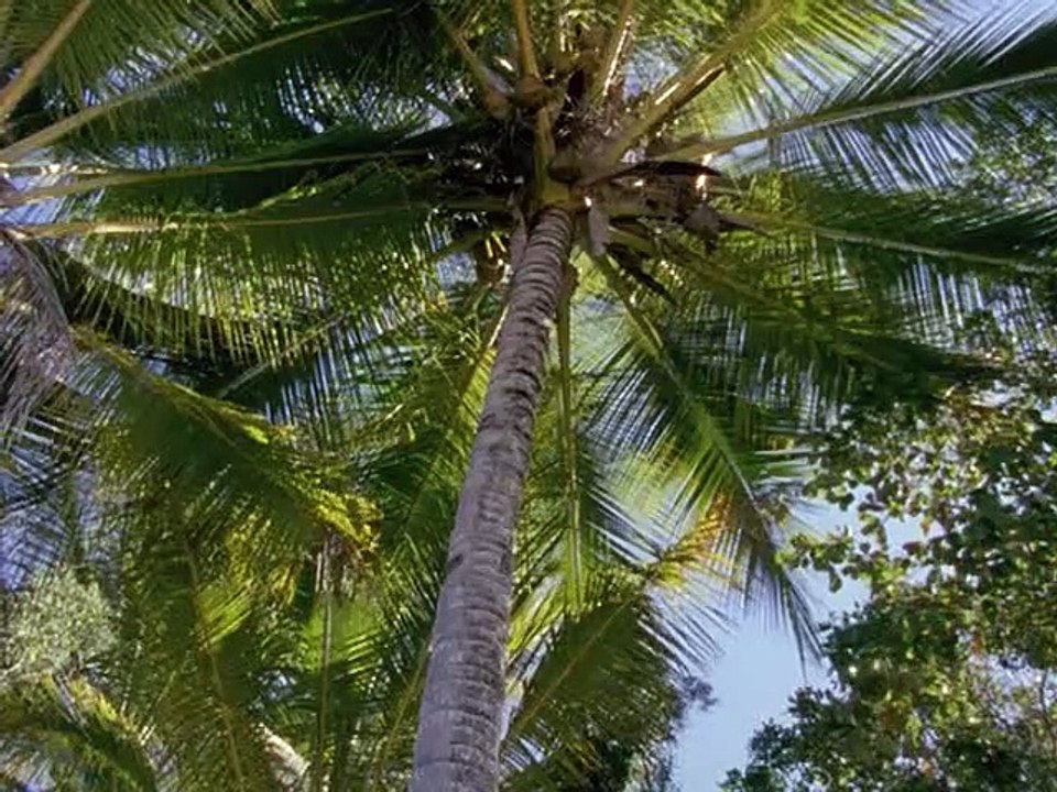 Ocean Girl Staffel 3 Folge 8 HD Deutsch