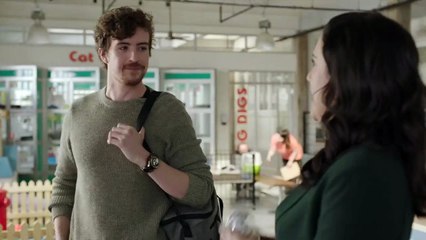 Strays Staffel 1 Folge 8 HD Deutsch