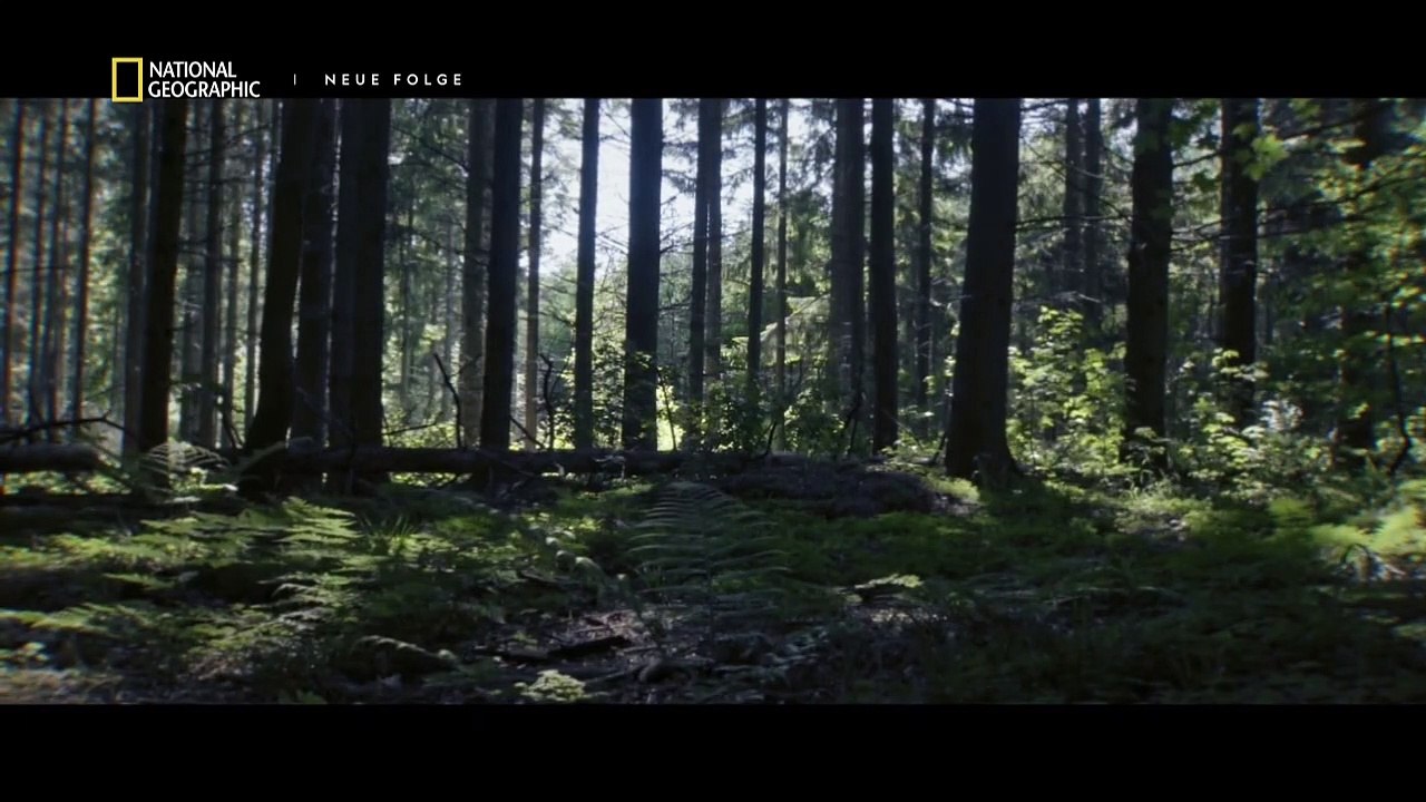 Wikinger Aufstieg und Untergang Staffel 1 Folge 5 HD Deutsch