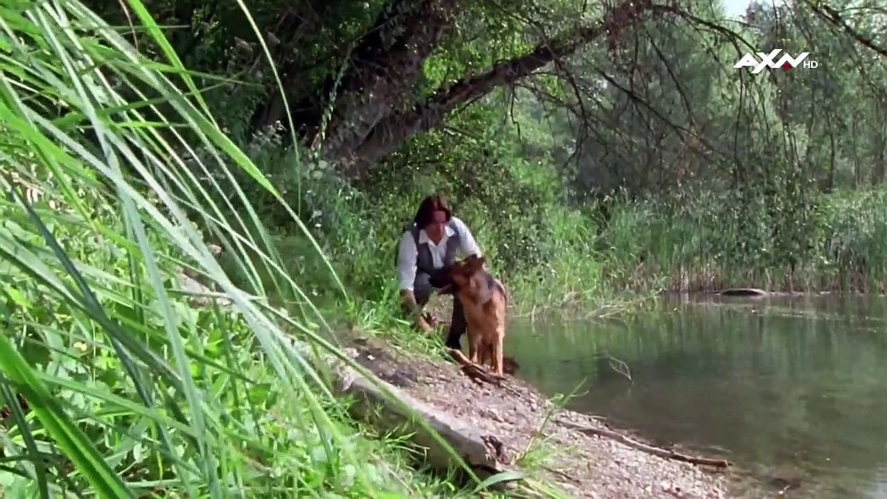 Kommissar Rex Staffel 2 Folge 3 HD Deutsch