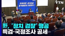 野, '정치 검찰' 연일 맹공...'특검법·국정조사' 쌍끌이 공세 / YTN