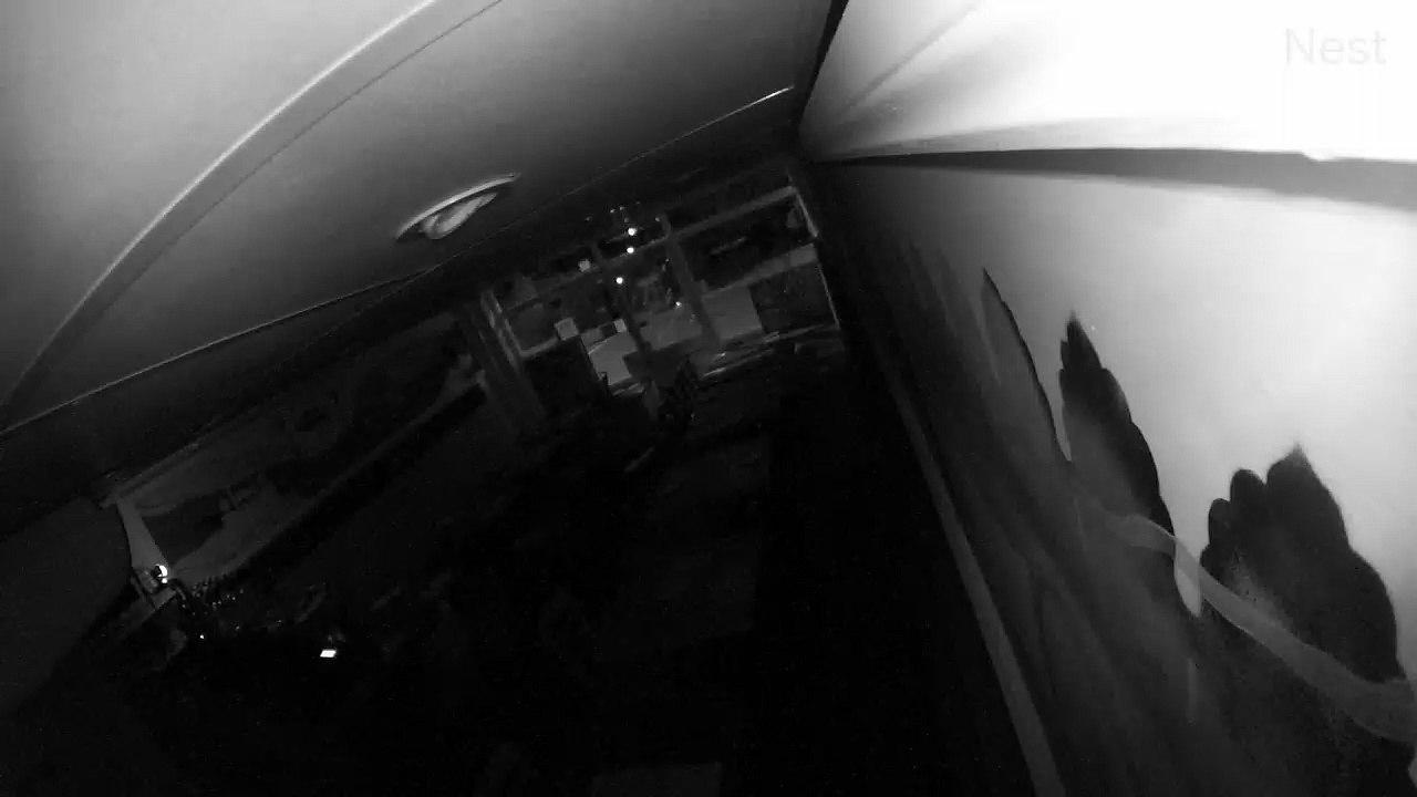 Thief breaks smashes down door at Coronation Curry House in Bristol