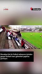 Slovakya'da şaşkına çeviren futbol sahası