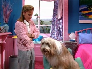 Mein Vater ist ein Außerirdischer Staffel 2 Folge 24 HD Deutsch