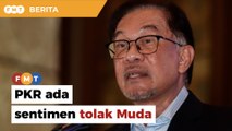 Anwar akui PKR ada sentimen tolak Muda jadi komponen PH