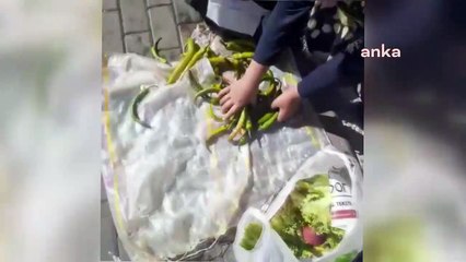 Tarım Kredi Marketi'nin çöpünden sebze toplayan kadın: Erdoğan utansın