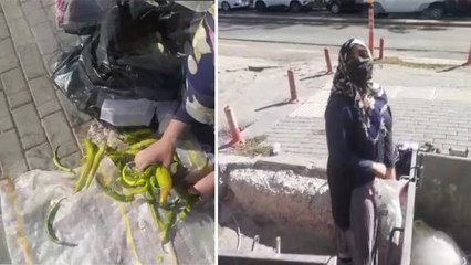 Tarım Kredi Kooperatifleri'ne ait marketin çöpünden sebze toplayan vatandaş: Cumhurbaşkanımız Tayyip Erdoğan utansın, daha ne diyeyim