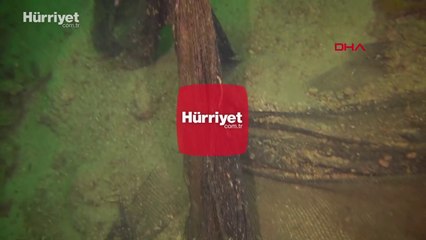 Prof. Dr. Adnan Ayaz: Marmara Adası'nda deniz dibi ağ mezarlığı haline geldi