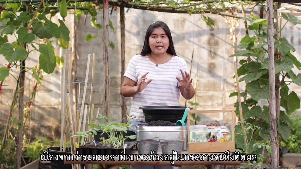 ปลุกผักกินผล EP4 FINAL