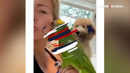 Papağanı kıskanan köpek bakın ne yaptı