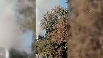 Antalya Kumluca'da yangın