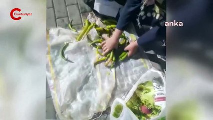 Tarım Kredi marketinin çöpünden sebze topladı: 'Cumhurbaşkanımız Erdoğan utansın'
