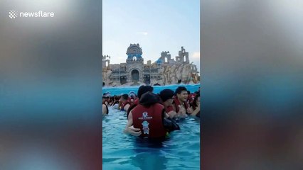 Une orque débarque au milieu d'une piscine à vague... enfin presque