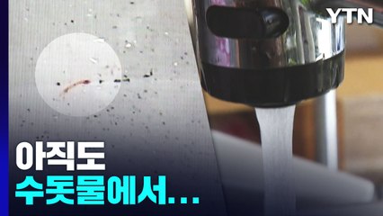 아직도 수돗물 유충 공포.."해법은 적극적 투자" / YTN