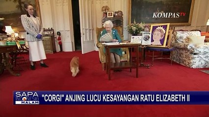 Ratu Elizabeth II dan Kecintaannya pada Anjing Corgi, Berawal dari Kado Sang Ayah!