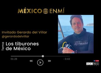 México en mí: Los tiburones de México