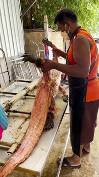 Extreme Level Biggest Crocodile Grilled of Thailand #shorts