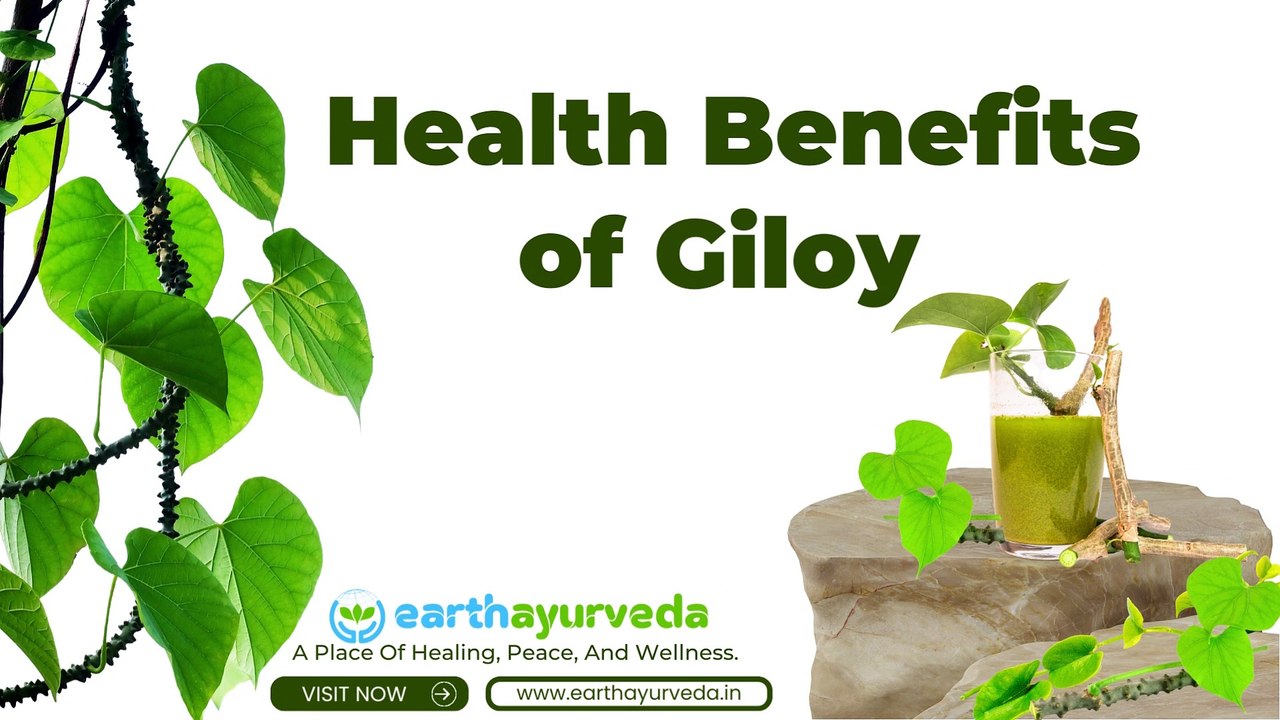 Health Benefits of Giloy