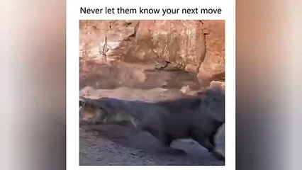 Never Let them know your Next Move