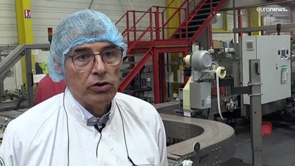 Во Франции борются с дефицитом горчицы