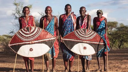 Most Brutal Giraffe Attacks Ever Filmed