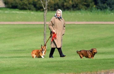 Queen Elizabeth’s beloved corgis will be cared for by the Duke and Duchess of York