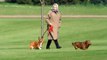 Queen Elizabeth’s beloved corgis will be cared for by the Duke and Duchess of York