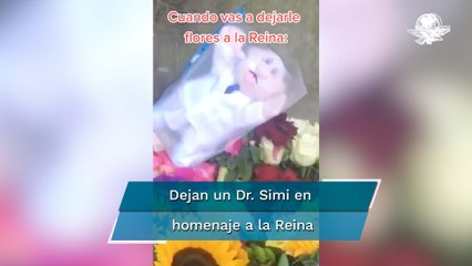¡Qué es eso! Dejan peluche de Dr Simi en ofrenda de la reina Isabel II