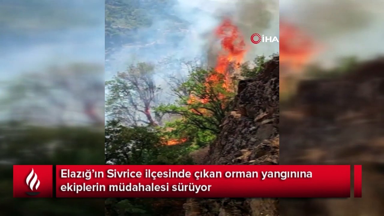 Elazığ’daki orman yangınına yönelik müdahale sürüyor