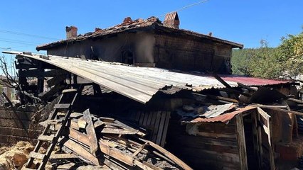 Çanakkale haberi! Çanakkale'de köyde çıkan yangında 26 hayvan telef oldu