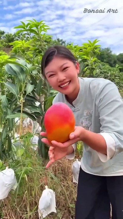 Girl Eat Miyazaki Mango. #shorts