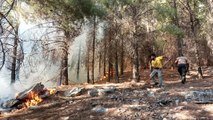Adıyaman haberleri | Adıyaman'da orman yangını başladı