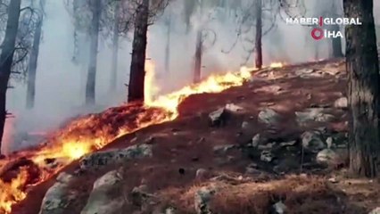 Adıyaman alev alev yanıyor: Ekipler dört koldan yangına müdahale ediyor