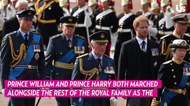 Prince William and Prince Harry Walk Next to Each Other Behind Queen Elizabeth II's Coffin During Procession