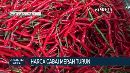 Harga Cabai Merah Turun