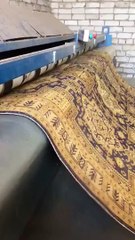 Ce machine à nettoyer les tapis est tellement satisfaisante