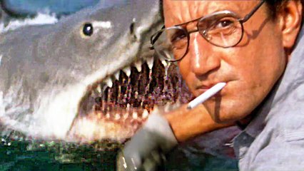 LES DENTS DE LA MER Bande Annonce