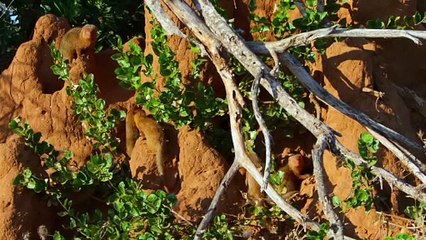 Our Great National Parks S01E03