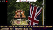 Queen Elizabeth II's corgis will go to her son Prince Andrew and his ex-wife - 1breakingnews.com