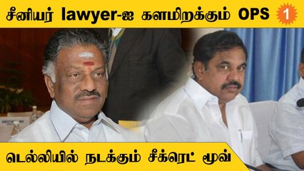 OPS - க்காக களமிறங்கும் ‘ர’ பெயர் கொண்ட Lawyer