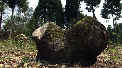 Satoyama - El Jardín secreto de Japón