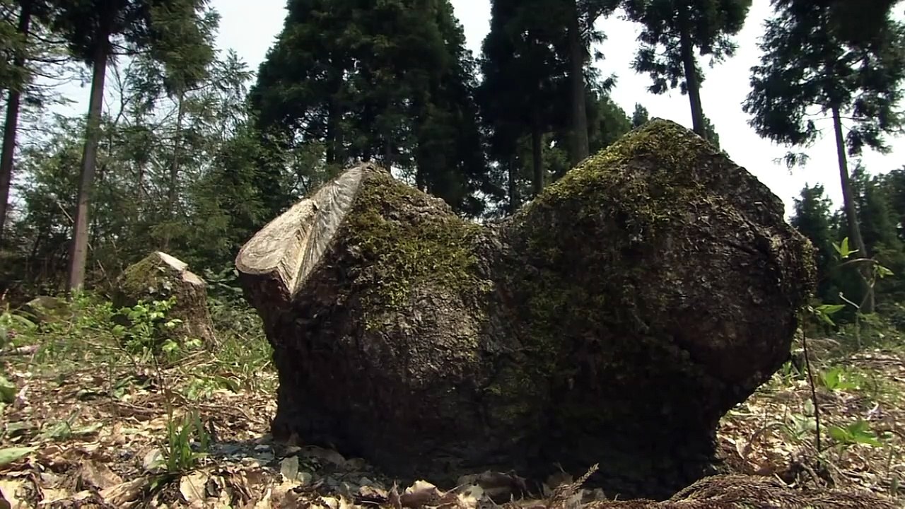 Satoyama - El Jardín secreto de Japón