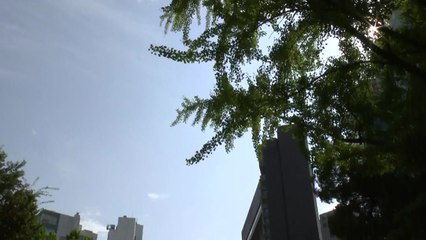 [날씨] 귀경길 충청 이남 비, 교통안전 주의...태풍 큰 영향 없어 / YTN